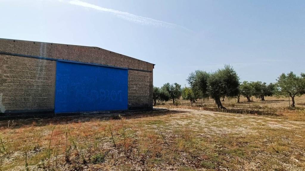 appartamento in vendita a Lucera