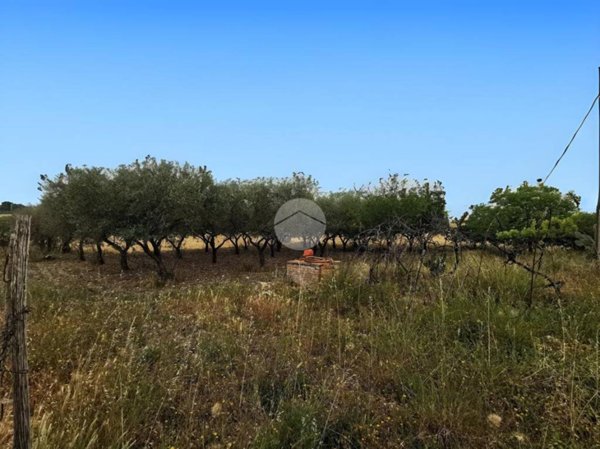 terreno agricolo in vendita a Lucera