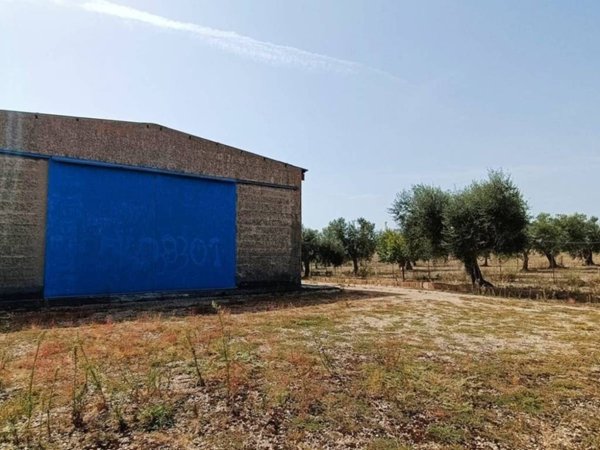 appartamento in vendita a Lucera