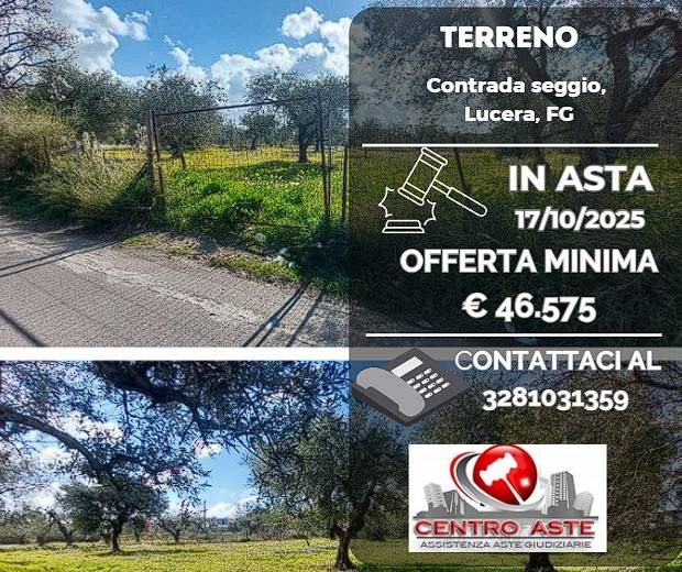 casa indipendente in vendita a Lucera