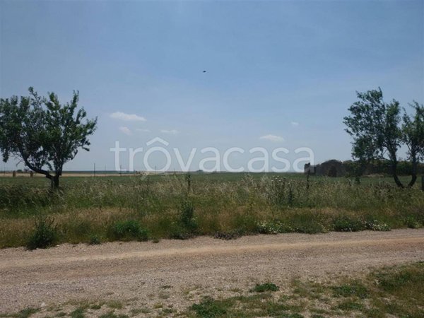 azienda agricola in vendita a Lucera