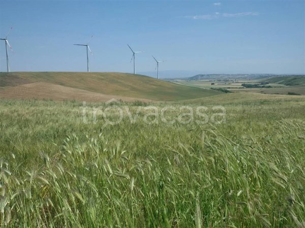 azienda agricola in vendita a Lucera