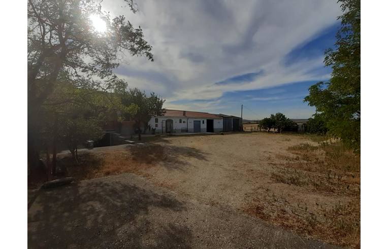 casa indipendente in vendita a Lucera