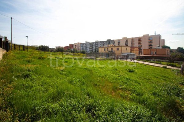 terreno agricolo in vendita a Lucera