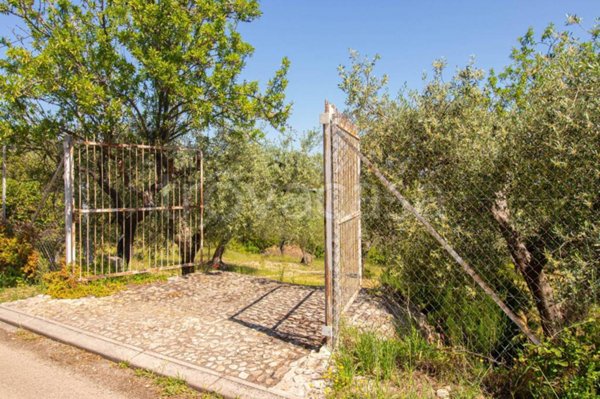 terreno agricolo in vendita a Lucera