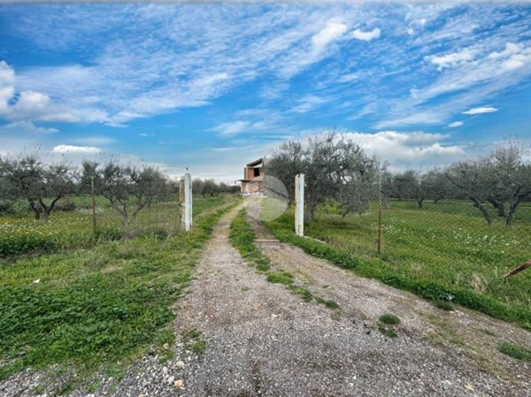 terreno agricolo in vendita a Lucera in zona San Giusto