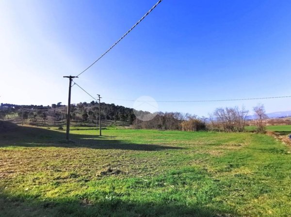 terreno agricolo in vendita a Lucera