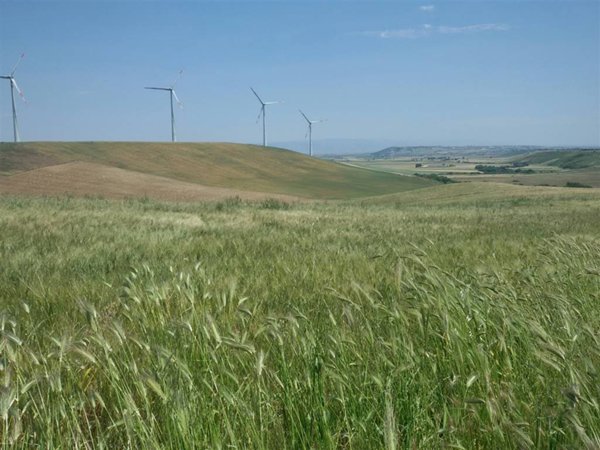 terreno agricolo in vendita a Lucera in zona San Giusto
