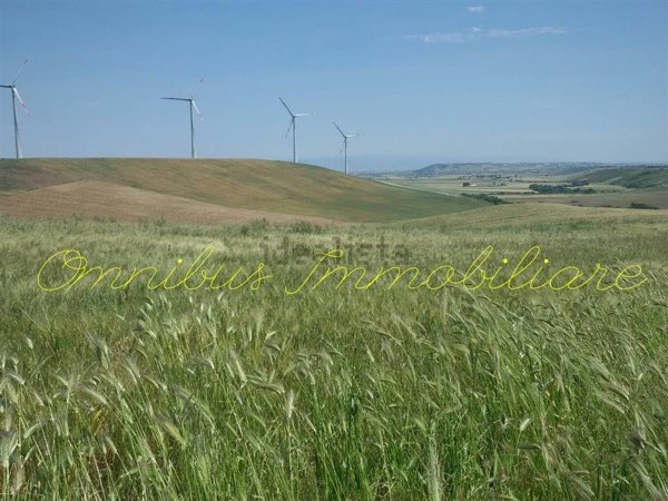 azienda agricola in vendita a Lucera in zona San Giusto