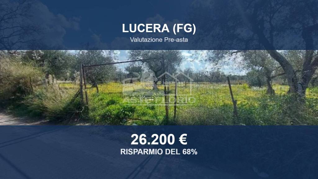 terreno agricolo in vendita a Lucera