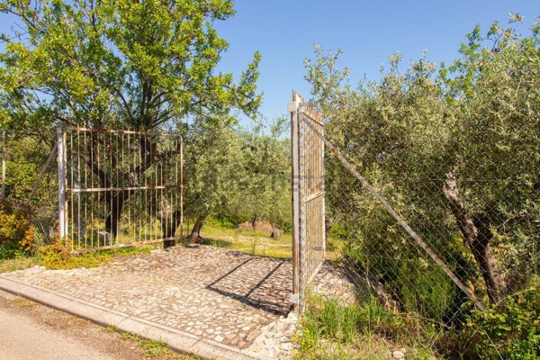 terreno in vendita a Lucera in zona San Giusto
