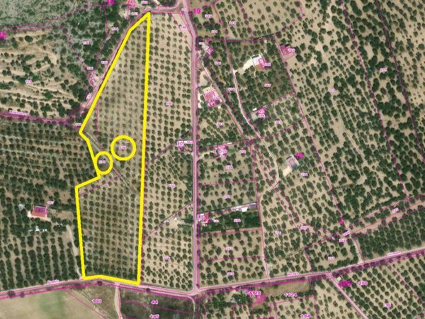 terreno agricolo in vendita a Manfredonia