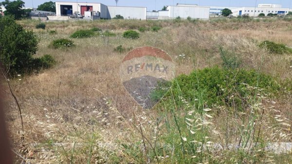 negozio in vendita a Manfredonia