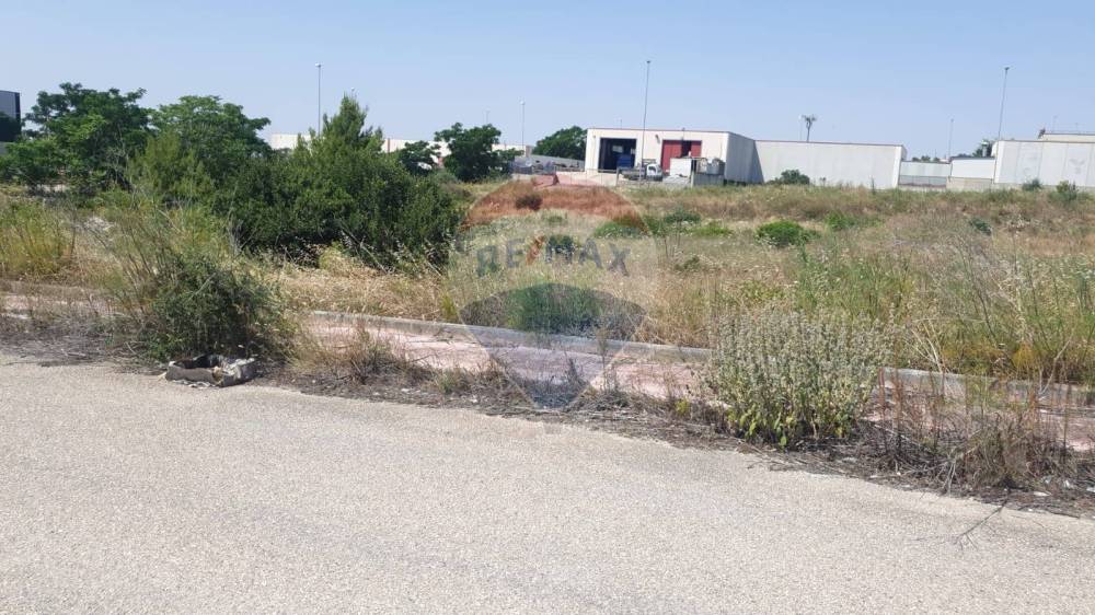 negozio in vendita a Manfredonia