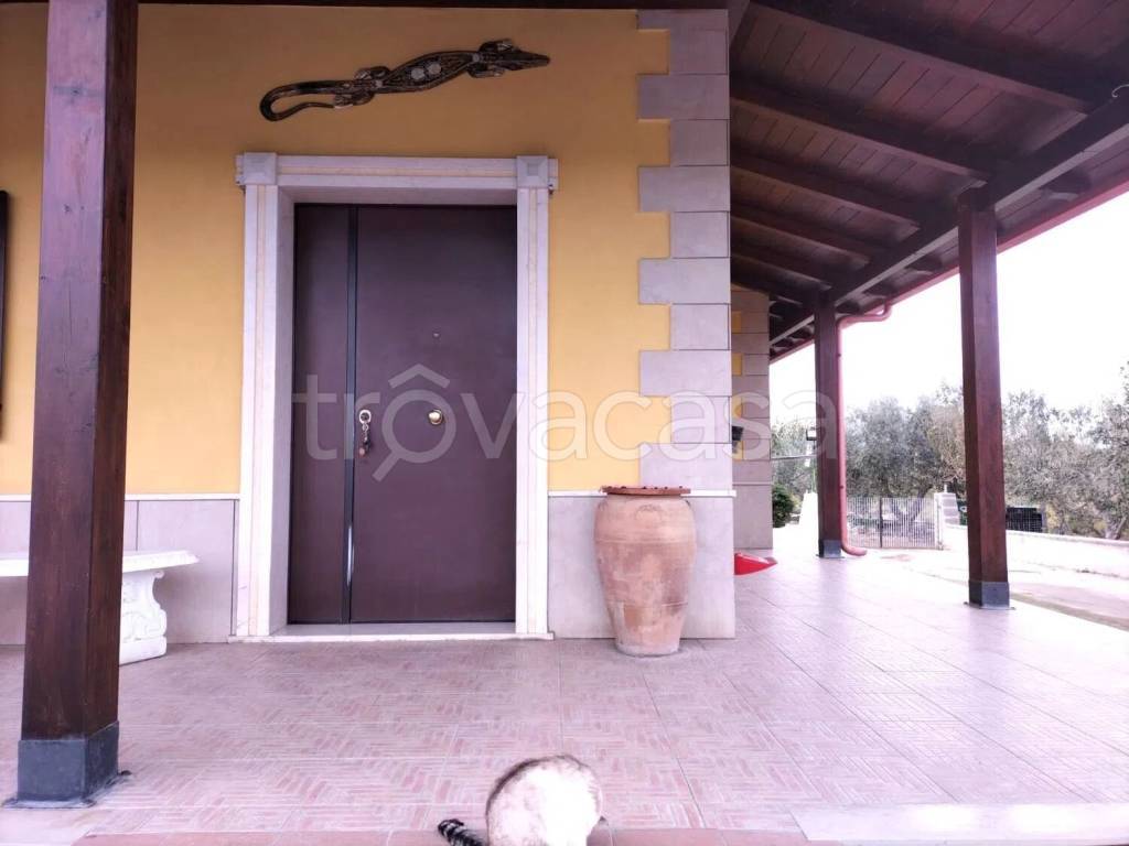 casa indipendente in vendita a Manfredonia in zona Mezzanone