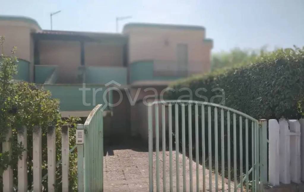 appartamento in vendita a Manfredonia in zona Ippocampo