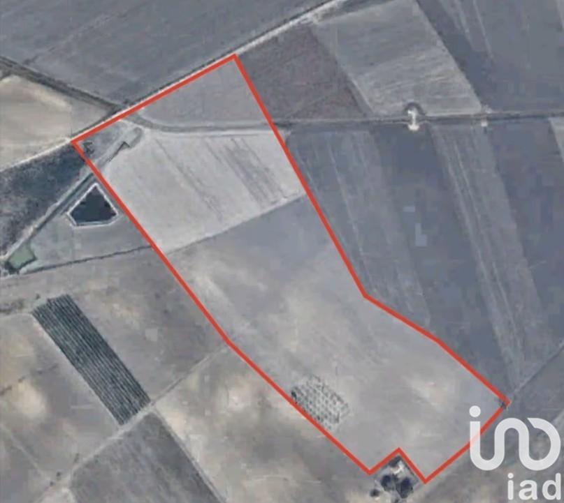 terreno agricolo in vendita a Manfredonia in zona Centro Storico