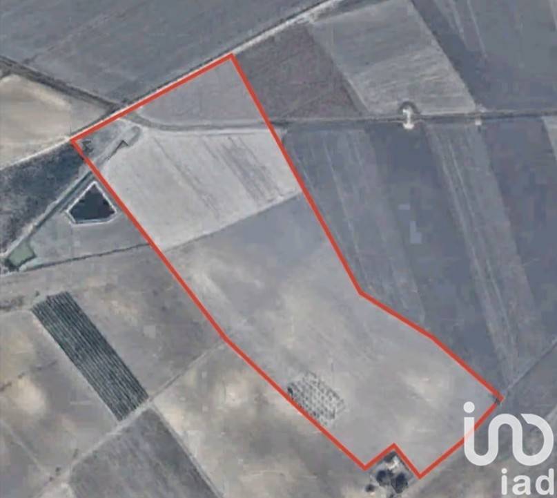 terreno agricolo in vendita a Manfredonia