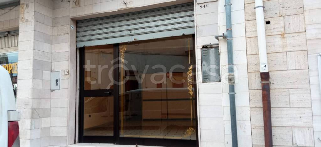 negozio in vendita a Manfredonia