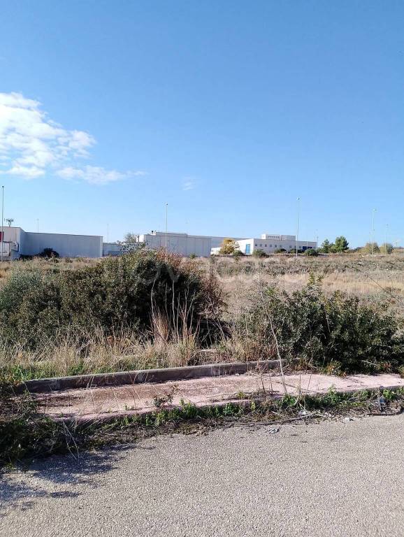 terreno agricolo in vendita a Manfredonia