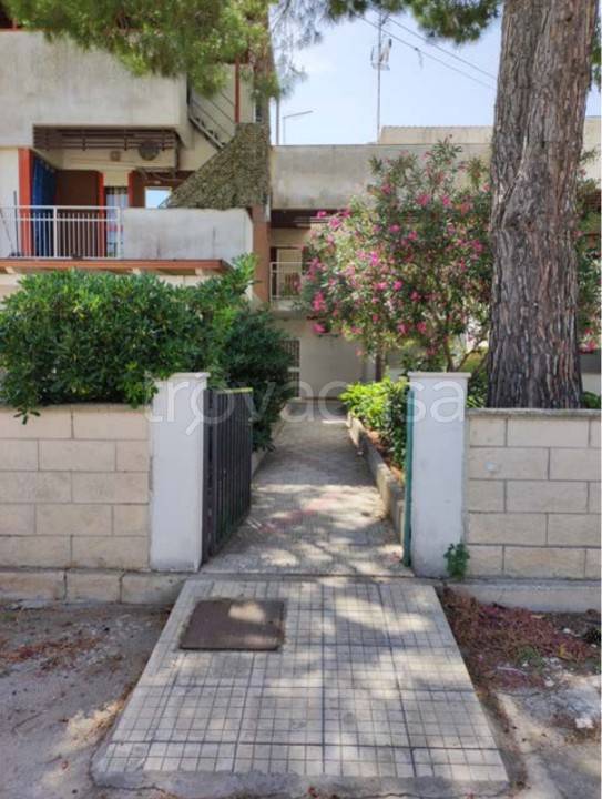 appartamento in vendita a Manfredonia in zona Ippocampo