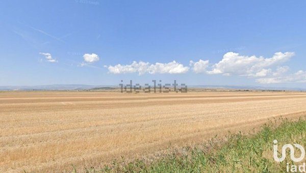 terreno agricolo in vendita a Manfredonia