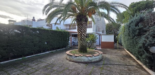 appartamento in vendita a Manfredonia in zona Ippocampo