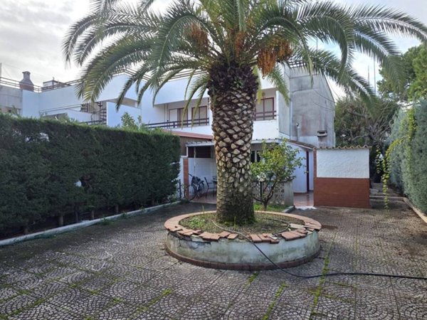 appartamento in vendita a Manfredonia in zona Ippocampo