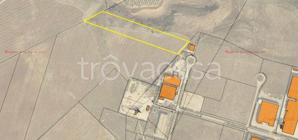 terreno agricolo in vendita a Manfredonia