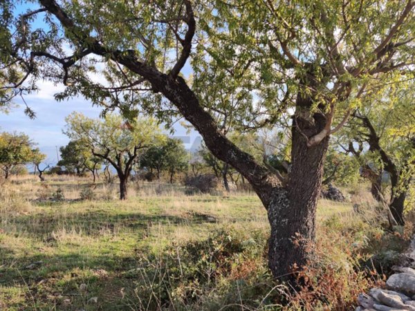 casa indipendente in vendita a Manfredonia in zona San Salvatore