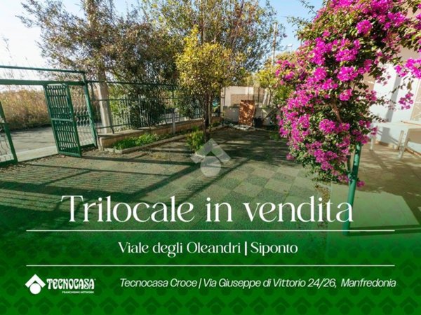 appartamento in vendita a Manfredonia in zona Siponto