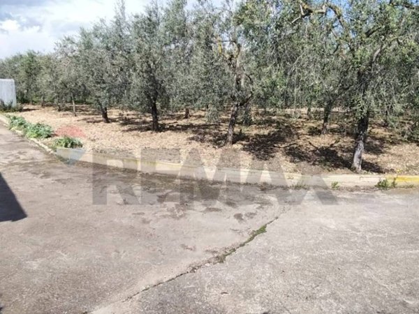 terreno agricolo in vendita a Manfredonia