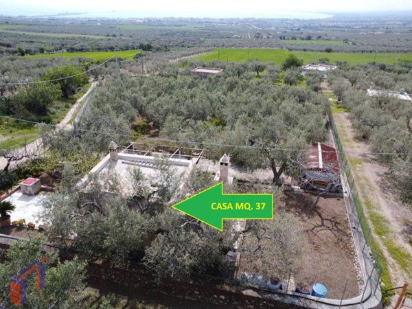 terreno agricolo in vendita a Manfredonia