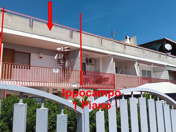 appartamento in vendita a Manfredonia in zona Ippocampo
