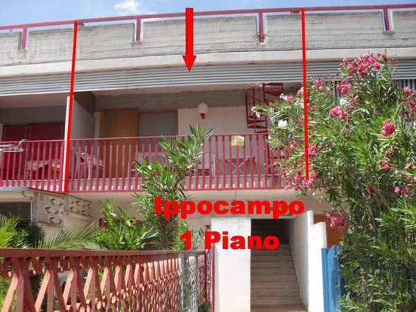 appartamento in vendita a Manfredonia in zona Ippocampo