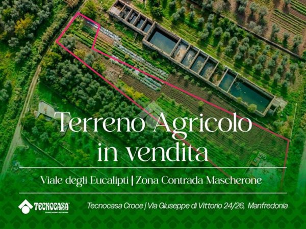 terreno agricolo in vendita a Manfredonia in zona Siponto