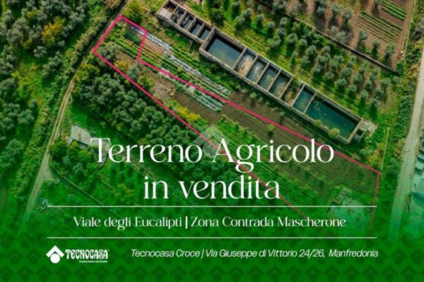 terreno agricolo in vendita a Manfredonia in zona Siponto