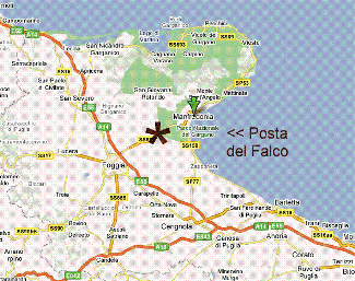 casa indipendente in vendita a Manfredonia