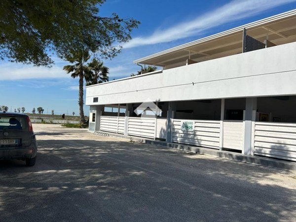 appartamento in vendita a Manfredonia in zona Ippocampo