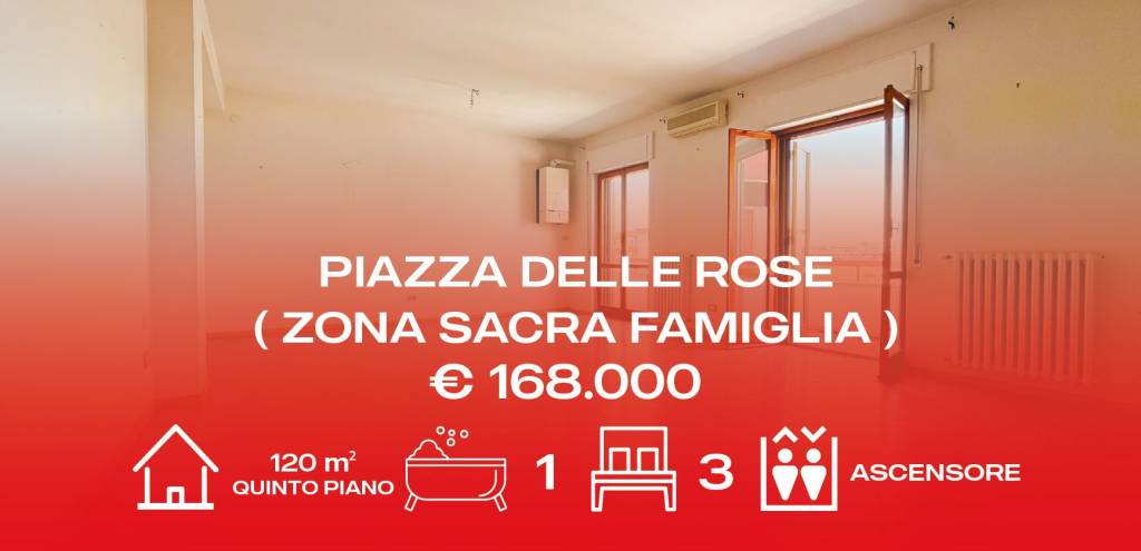 immagine annuncio 0 di 15