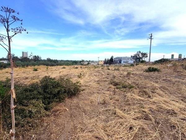 terreno agricolo in vendita a Manfredonia in zona Siponto