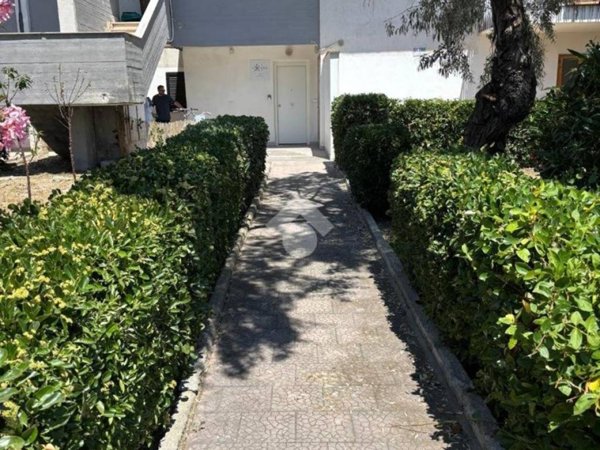 appartamento in vendita a Manfredonia in zona Ippocampo