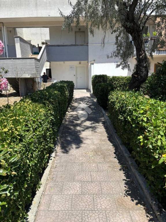 appartamento in vendita a Manfredonia in zona Ippocampo