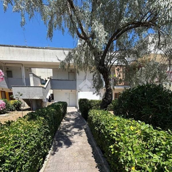 appartamento in vendita a Manfredonia in zona Ippocampo