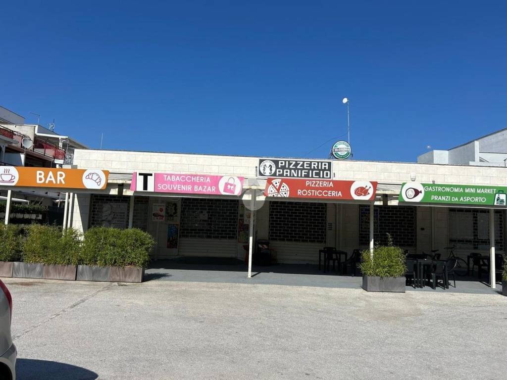 negozio in vendita a Manfredonia in zona Ippocampo