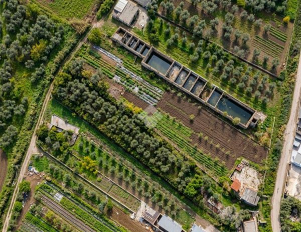 terreno agricolo in vendita a Manfredonia in zona Mezzanone