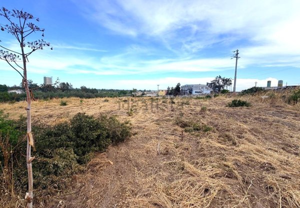 terreno agricolo in vendita a Manfredonia in zona Mezzanone