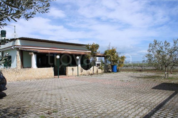 casa indipendente in vendita a Manfredonia in zona Mezzanone