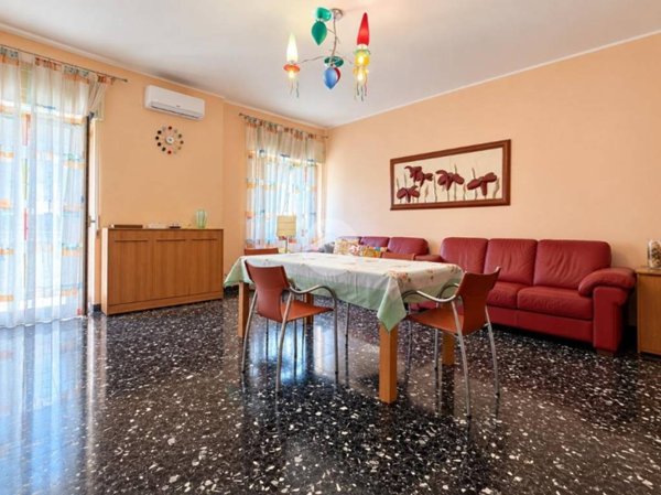 immagine annuncio 0 di 15
