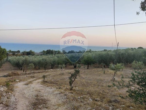 terreno agricolo in vendita a Mattinata